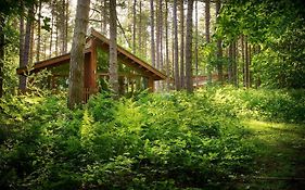 Blackwood Forest Cabins - Forest Holidays